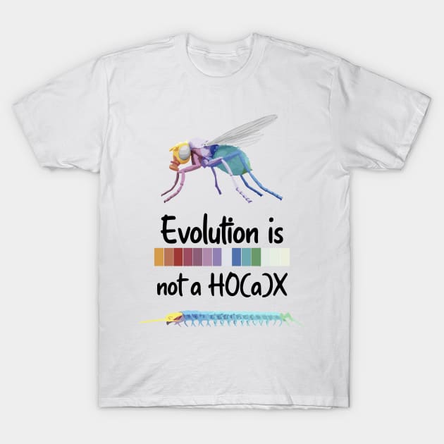 Evolution is not a hoax Hox Genes Similarities Housefly and centipede T-Shirt by labstud